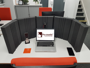 Pro-coustix Flexisorb Flexible Acoustic Screen Privacy Divider Panels 450mm